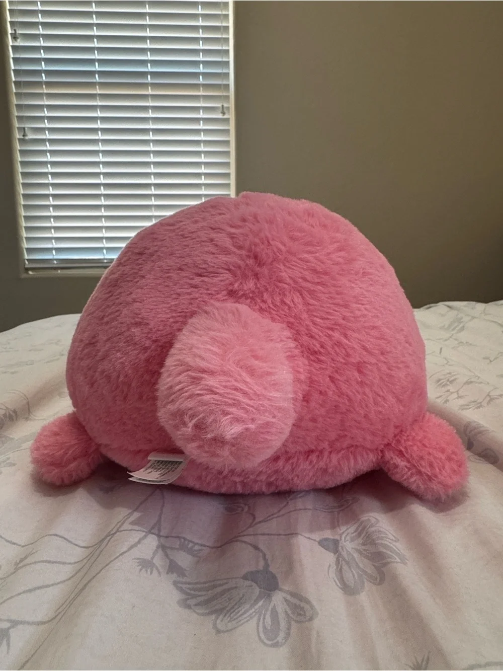 🧸Takashoji Penguin with Triceratops Costume